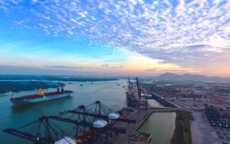 TCT Hàng Hải Việt Nam thay đổi nhận diện thương hiệu và tên giao dịch VIMC