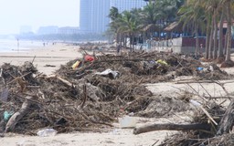 Sau lũ lịch sử, bãi biển Đà Nẵng tan hoang