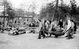 Những sự thật kinh hoàng về thảm sát Holocaust