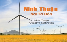 Ninh Thuận đẹp lung linh trong tập sách ảnh của Lê Văn Hùng