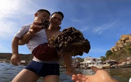 Bẻ san hô ở Hang Rái chụp ảnh, hướng dẫn viên du lịch tự do xin lỗi