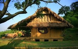 Chuẩn nông thôn mới - văn hóa không thể 'ba cứng' Chuẩn nông thôn mới - văn hóa không thể 'ba cứng'