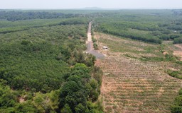 Đồng Nai lo ngại làm đường nối với Bình Phước sẽ xâm phạm khu bảo tồn
