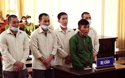 Lâm Đồng: Hơn 44 năm tù cho nhóm chuyên trộm lan đột biến