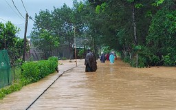 Lâm Đồng: Mưa lớn gây ngập úng hàng chục nhà dân và hàng trăm ha cây trồng