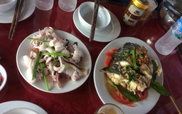 Du khách bị 'chém' bữa cơm hơn 8 triệu đồng trên vịnh Hạ Long