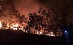 Hai vụ cháy rừng liên tiếp tại Quảng Ninh