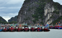 Quảng Ninh kêu gọi tàu thuyền, chuẩn bị cấm biển phòng chống bão số 6