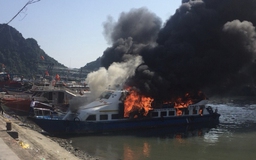 Cháy tàu cao tốc chở khách ra đảo Cô Tô