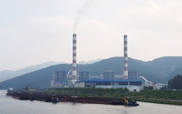 Nhà máy nhiệt điện Quảng Ninh có nguy cơ dừng hoạt động vì thiếu than
