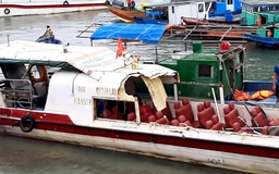Quảng Ninh: Tàu cá đâm ngang tàu cao tốc chở khách, 3 người bị thương