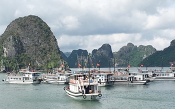Quảng Ninh cấm tàu ra vịnh Hạ Long và các đảo du lịch vì bão số 3