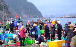 Hối hả chợ hải sản đắt tiền bên bờ vịnh Hạ Long sáng 30 tết