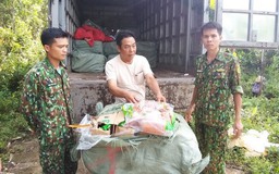 Quảng Ninh: Điều tra vụ mua bán hơn 2,4 tấn vịt, lợn bốc mùi hôi thối