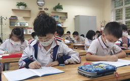 Quảng Ninh dành 458 tỉ đồng hỗ trợ học phí cho học sinh