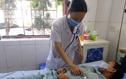 Quảng Ninh: Nhập viện cấp cứu vì bị cả bầy ong vò vẽ tấn công