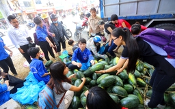 Một ngày, Hà Nội tiêu thụ hàng chục tấn dưa hấu Quảng Ngãi