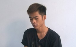 Con trai nữ giúp việc trộm mã cửa căn hộ, ăn cắp tài sản chủ nhà