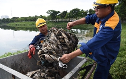 20 công nhân được huy động vớt cá chết ở hồ công viên Yên Sở