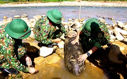 Lai Châu: Phát hiện quả bom dài 1,5 m, nặng 227 kg ở ven suối Nà Um