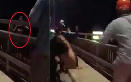 Thiếu nữ rơi tự do từ trên cầu Nhật Tân xuống sông Hồng không chết