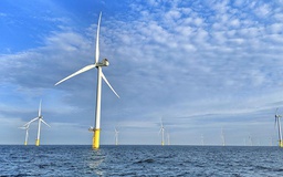 Nhà đầu tư muốn ‘đổ tiền xuống biển' làm điện gió nhưng chưa được phép