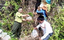 Quảng Bình chú trọng trồng, phát triển rừng