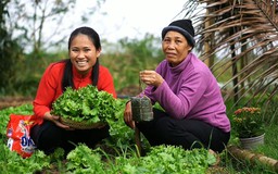 ‘Chậu cây biết ơn’ được sao Việt và cộng đồng hưởng ứng sôi nổi dịp tết này