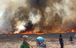 Cháy rừng phòng hộ kéo dài 4 thôn tại vùng biển Thừa Thiên - Huế