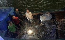 Đi tàu cá ra biển trộm cắp sắt phế liệu của sà lan nước ngoài