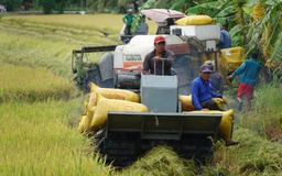 Giá trị đất nông nghiệp thấp, người nông dân khó giàu