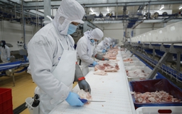 Công ty thịt mát MEATLife bán cổ phiếu thu về 135 tỉ đồng