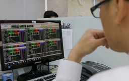 VN-Index sắp chạm ngưỡng 1.000 điểm, hàng loạt cổ phiếu lập đỉnh mới