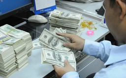 Giá USD hôm nay 6.4.2021: Đô la tự do lao dốc