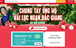 Canh giờ vàng mua online vải thiều Bắc Giang từ ngày 6.6