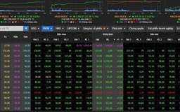 Cổ phiếu đua nhau tăng giá, VN-Index lập đỉnh lịch sử đầu năm mới