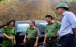 Vụ phá rừng pơ mu: Đình chỉ công tác 3 sĩ quan biên phòng