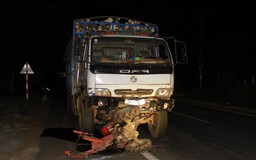 Tai nạn thảm khốc ở Gia Lai: Nghiêm cấm xe công nông chạy trên quốc lộ
