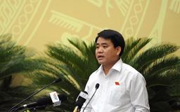 Chủ tịch Hà Nội: Không có chuyện chặt hạ, thay thế cây ở hồ Gươm