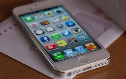 Trộm iPhone 5 cũ trong sân bay, nữ hành khách bị phạt 8,5 triệu đồng