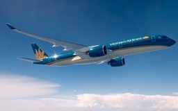 Tạm đình chỉ Đoàn trưởng Đoàn tiếp viên Vietnam Airlines