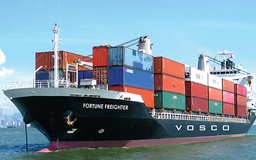 Cước vận tải biển tăng mạnh, VIMC tăng vốn mua thêm tàu container