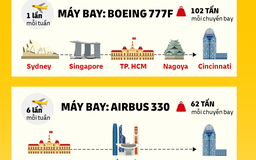 Mở đường bay vận chuyển hàng hóa giữa Việt Nam và Mỹ