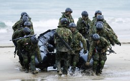 Nhật cân nhắc tổ chức tập trận lớn nhất với lính thủy đánh bộ Mỹ
