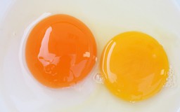 Lý do đáng ngạc nhiên về màu sắc của lòng đỏ trứng