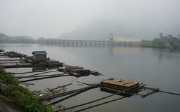 Thủy sản chết hàng loạt trên sông Mã: Đề nghị thủy điện xả nước