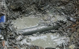Thủy sản chết hàng loạt trên sông Mã: Kiểm tra chất lượng nước giếng 10 xã