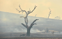 Giới khoa học kêu gọi ghi nhận ‘chết vì biến đổi khí hậu’ trên giấy chứng tử