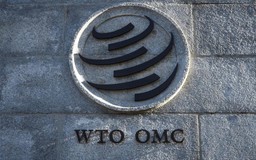 EU sắp kiện Trung Quốc lên WTO vì ‘cưỡng ép’ Lithuania