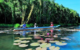 Dạo chơi làng nổi Tân Lập
